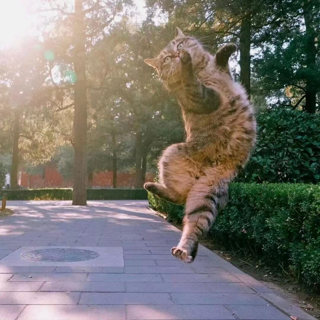 阿🍒芳