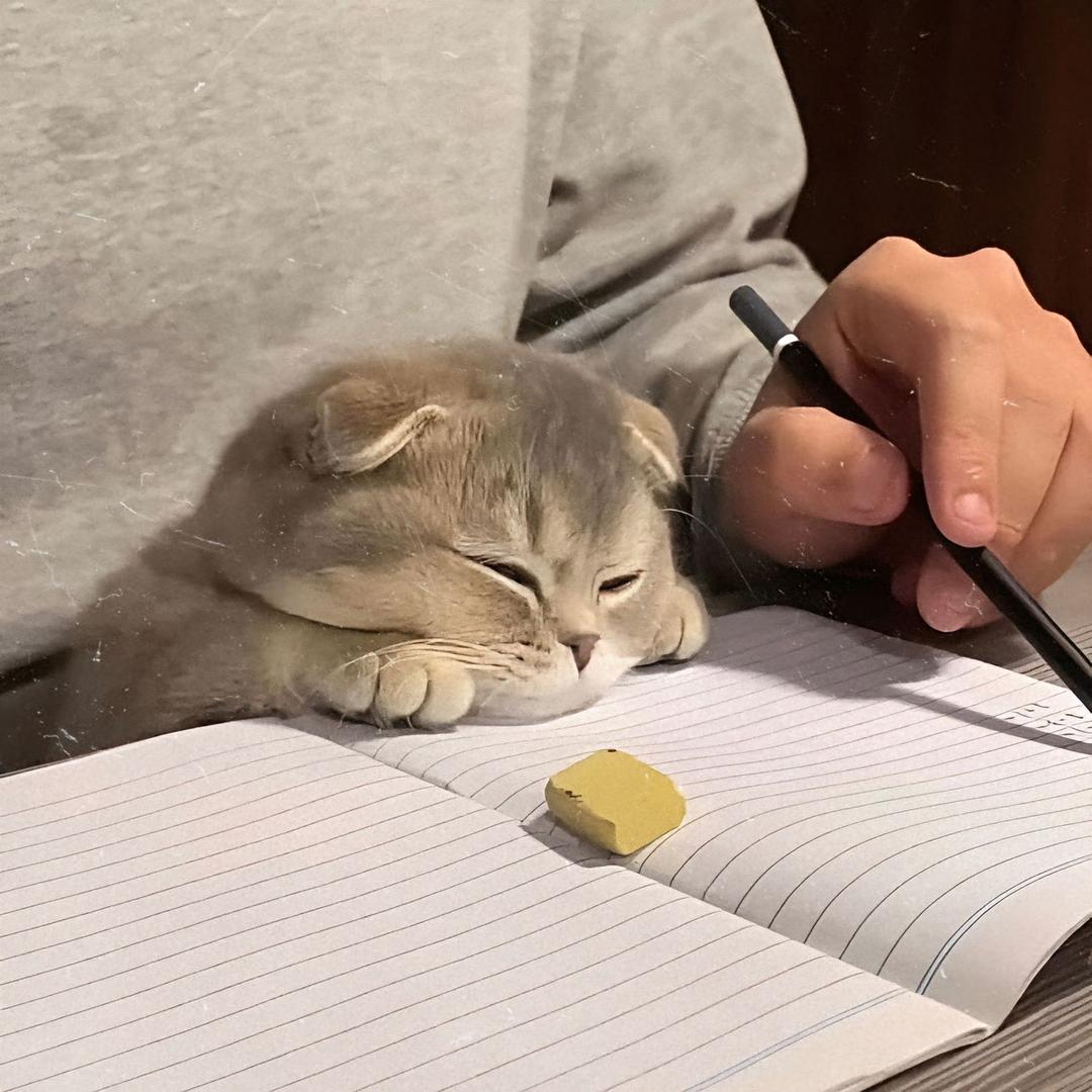 旧城冷巷雨未停