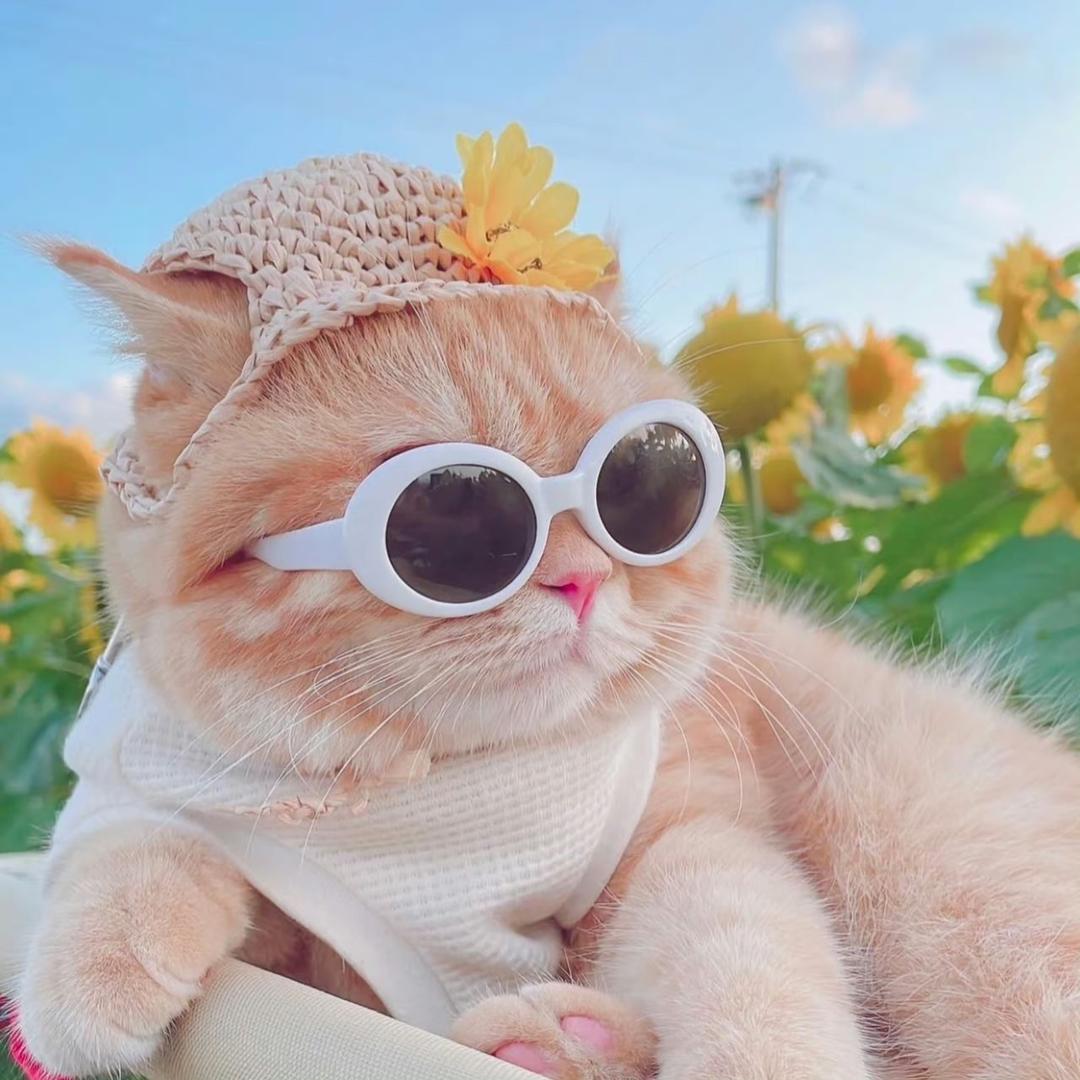 小苒Ran（月子中）