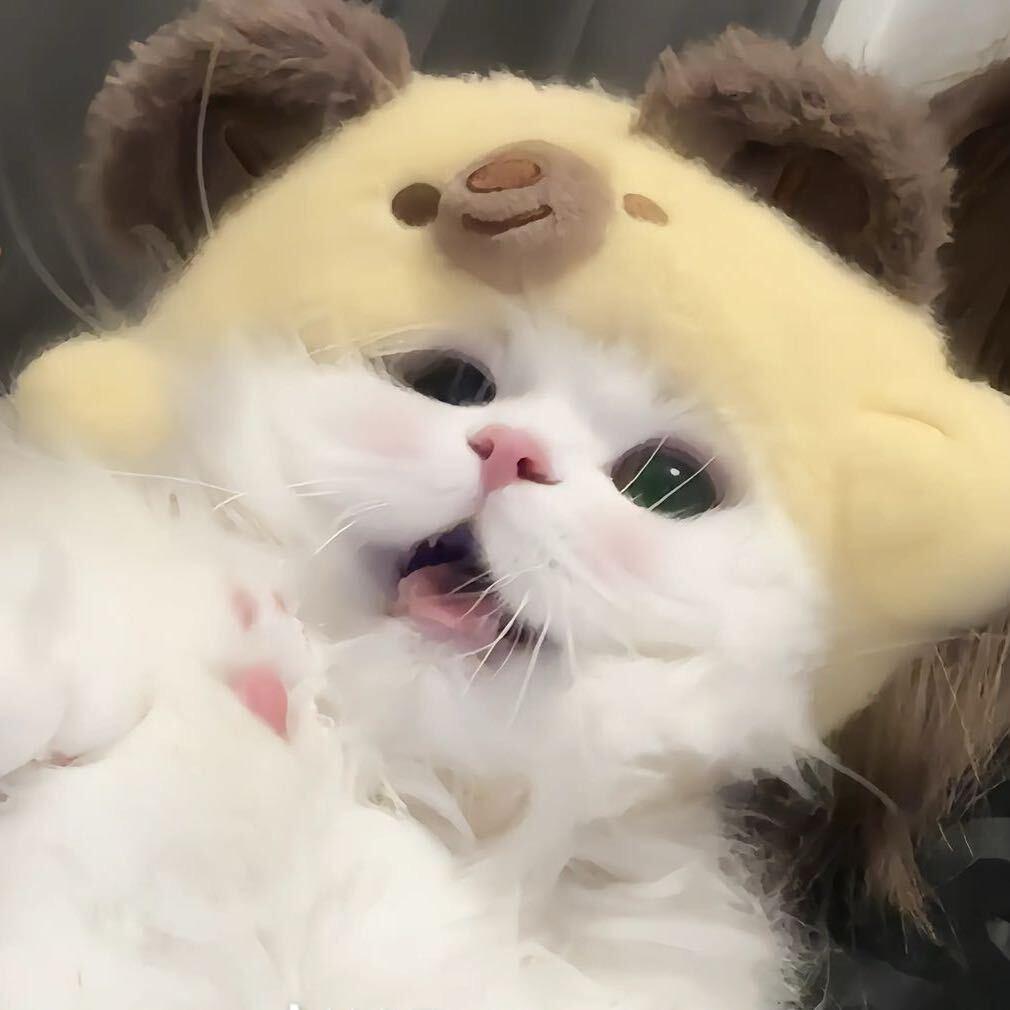 小羊没烦恼