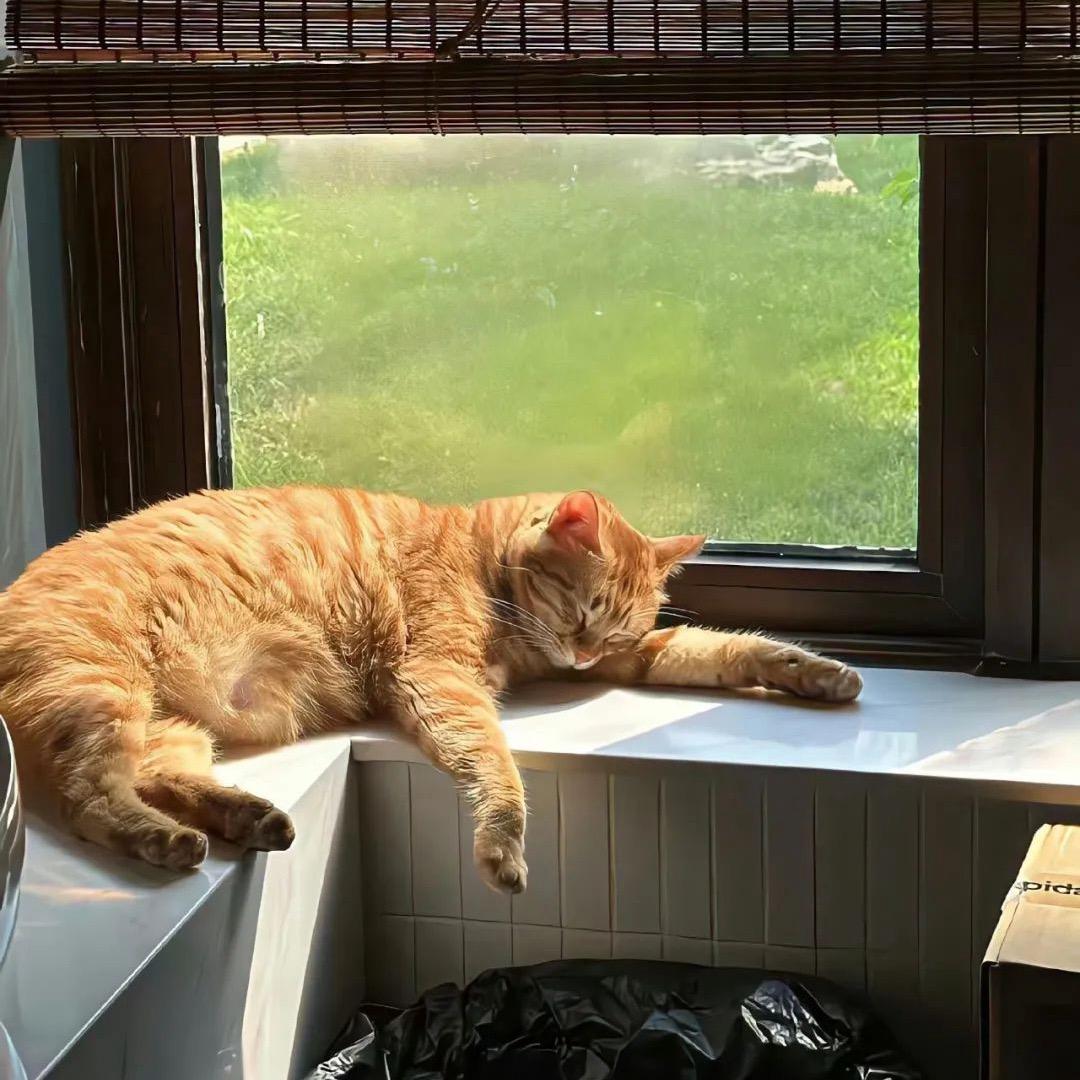 AAA.专业下水道疏通 贾师傅