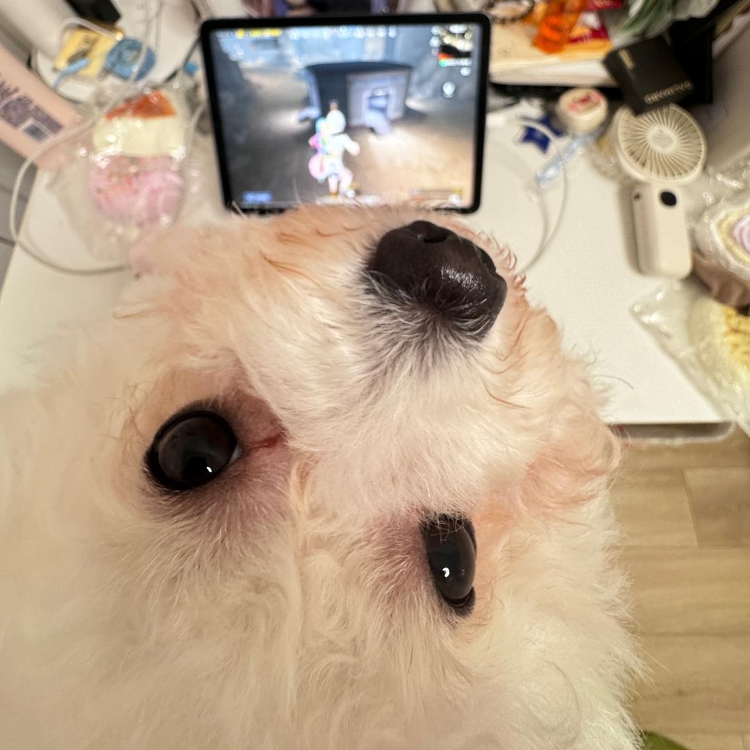 咕噜噜