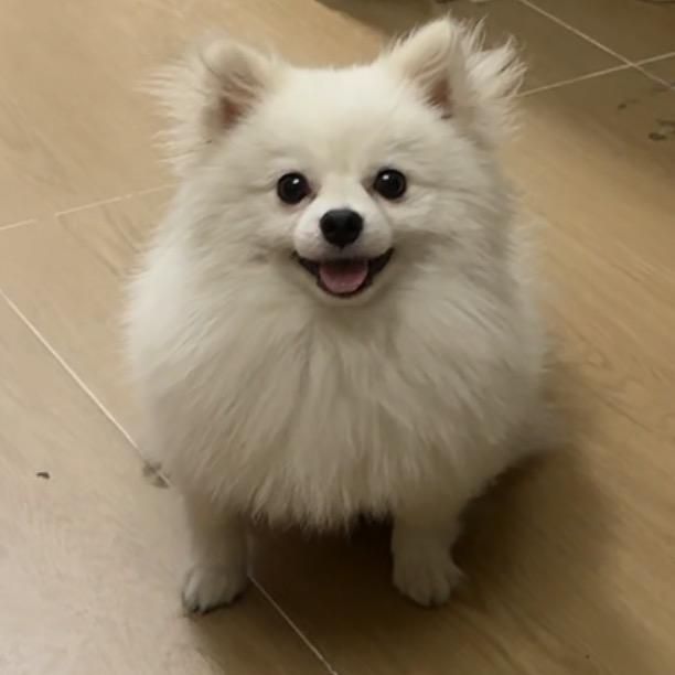 煤炭（环球行）