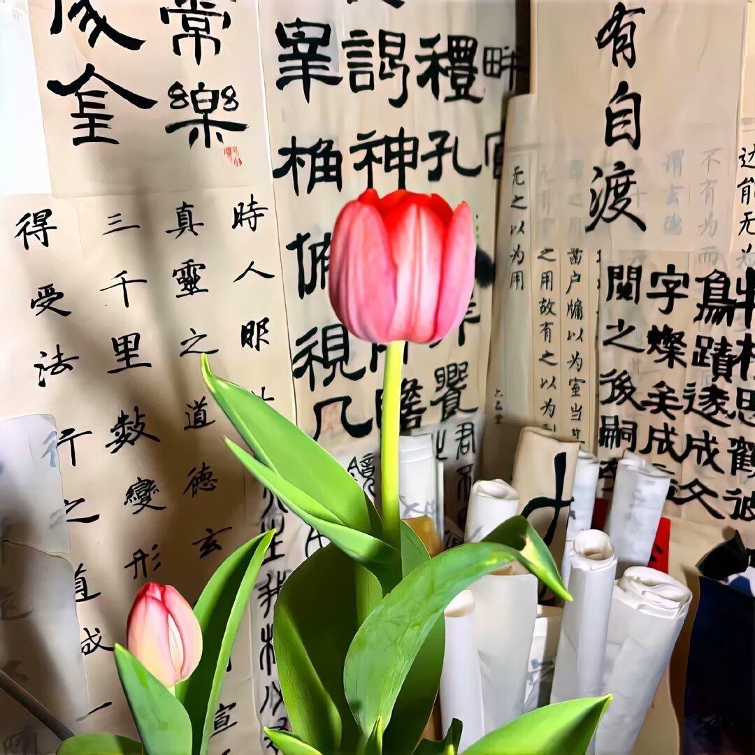 酒酒的装修日记