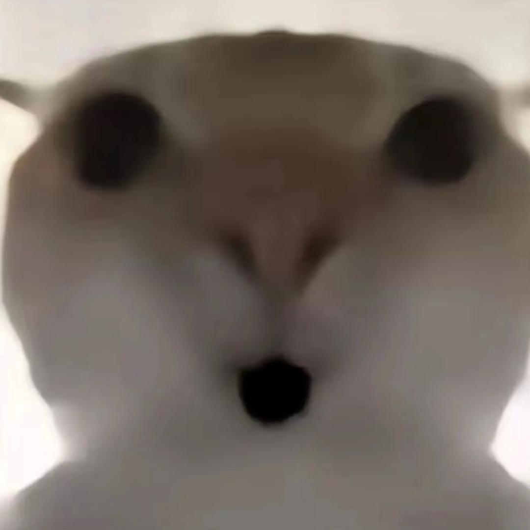 韩善宇