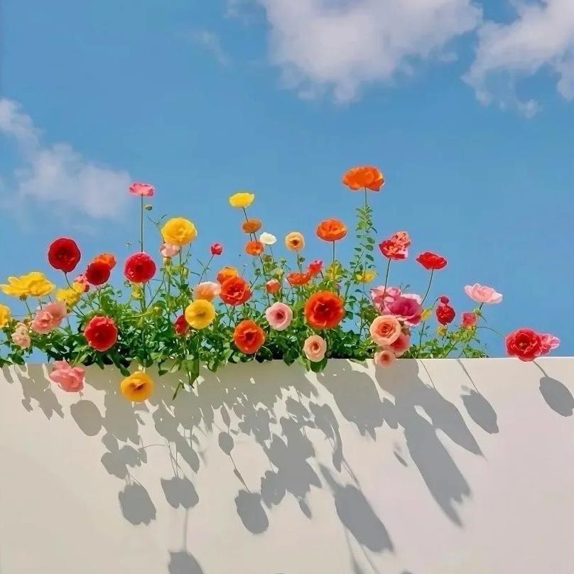 小沾好物甄选店