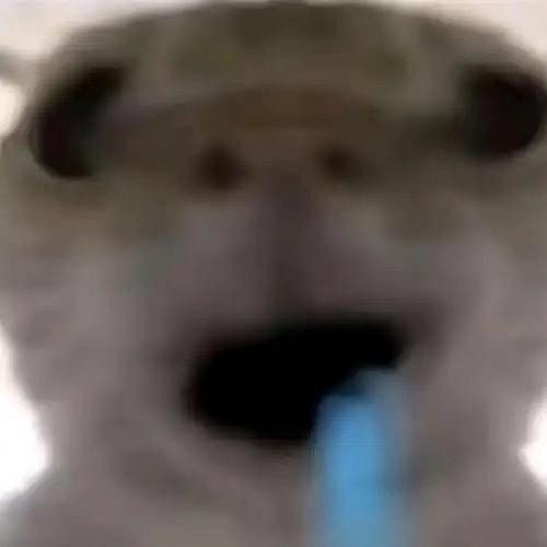 三角洲代肝-阿淼