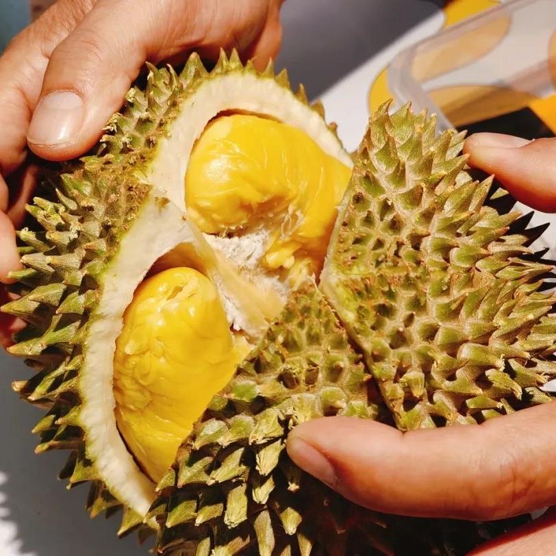 绿意水果·猫山王榴莲