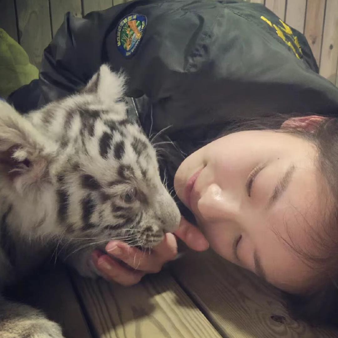 小呆哥