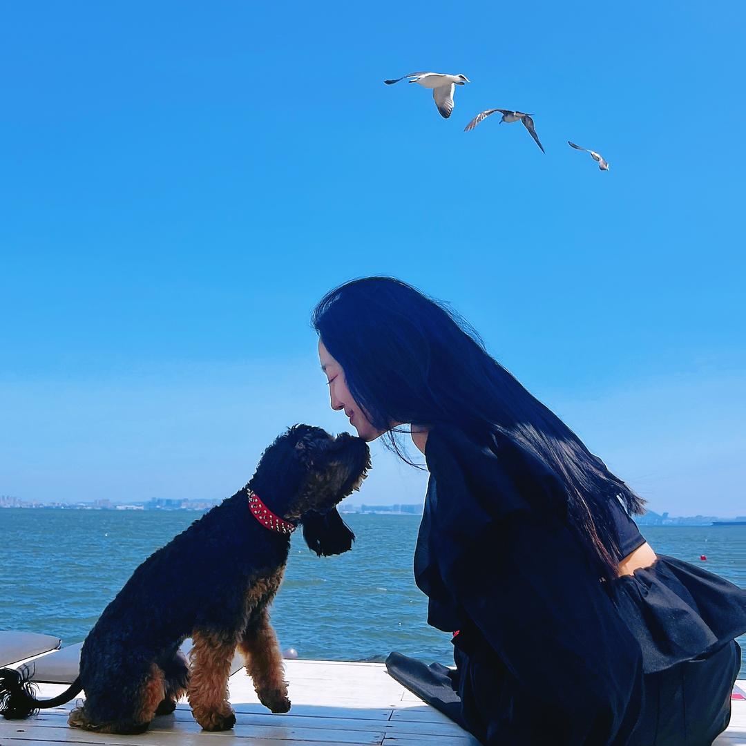 灿在北小🌙          　༽