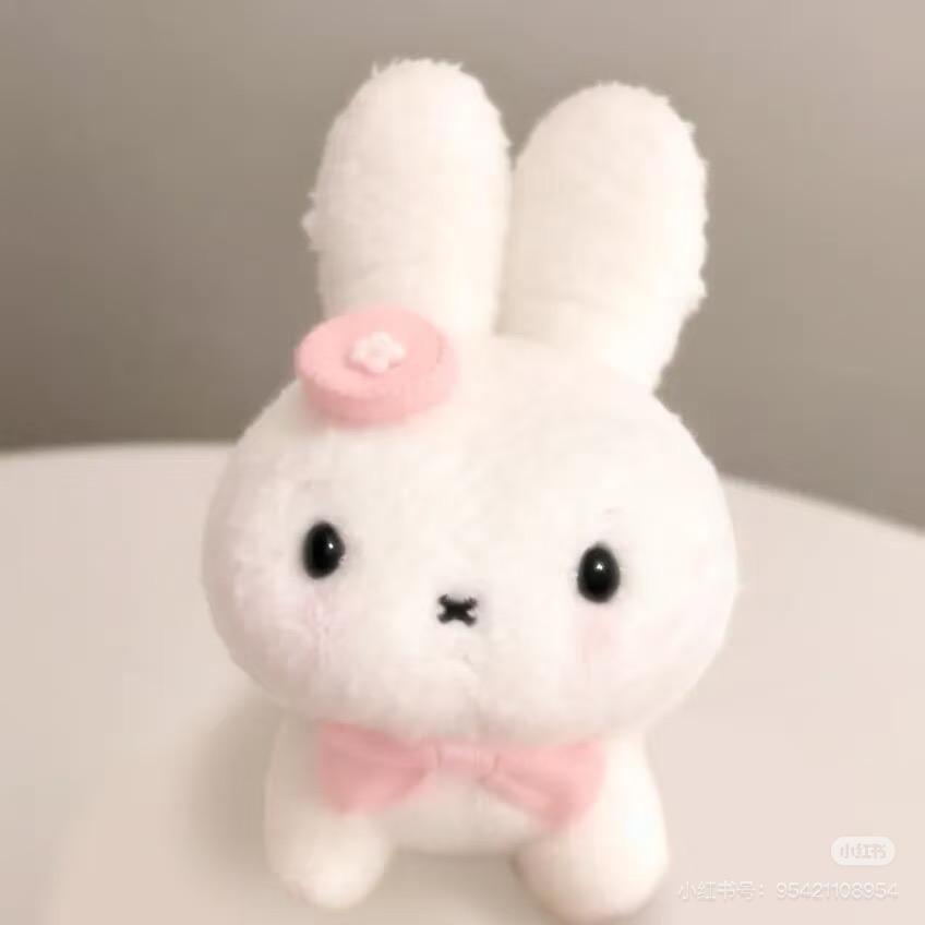 我是兔兔🐰