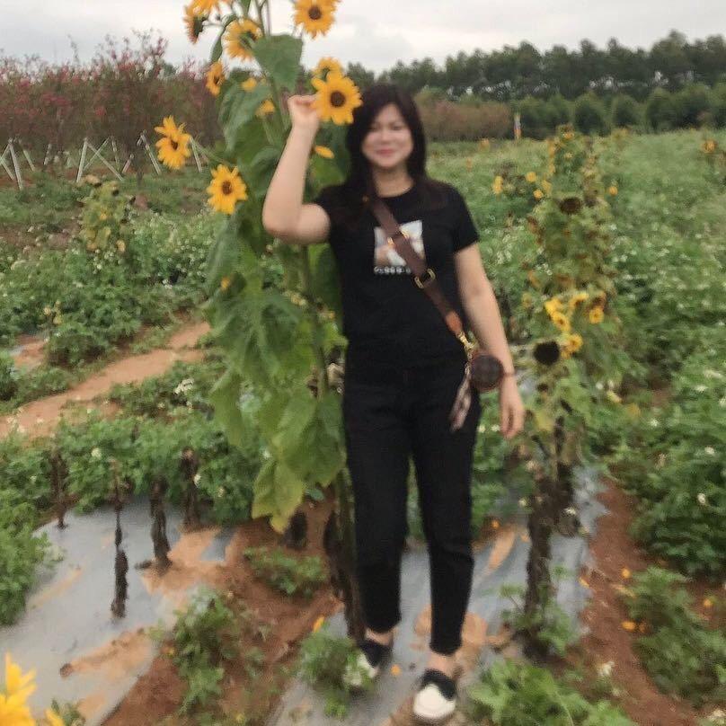 千里牵线红娘
