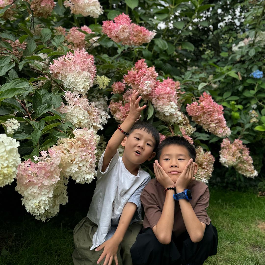装饰～胡辣壳同学