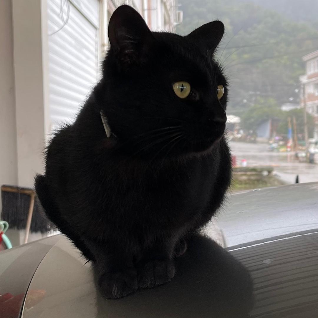 云在山海