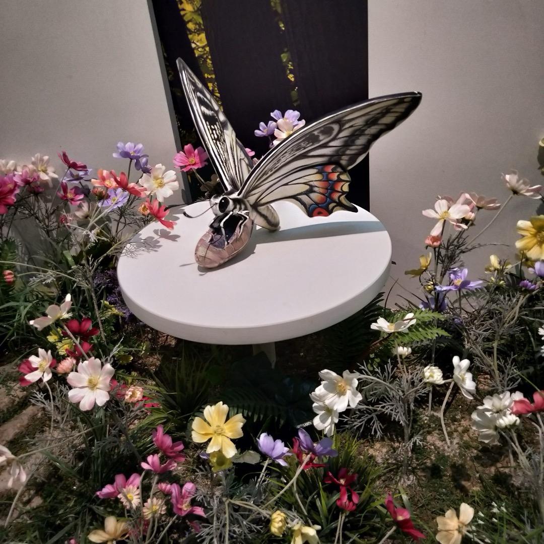 ༄༊࿆如梦🌺初醒ོྂཾ࿆࿐ོ