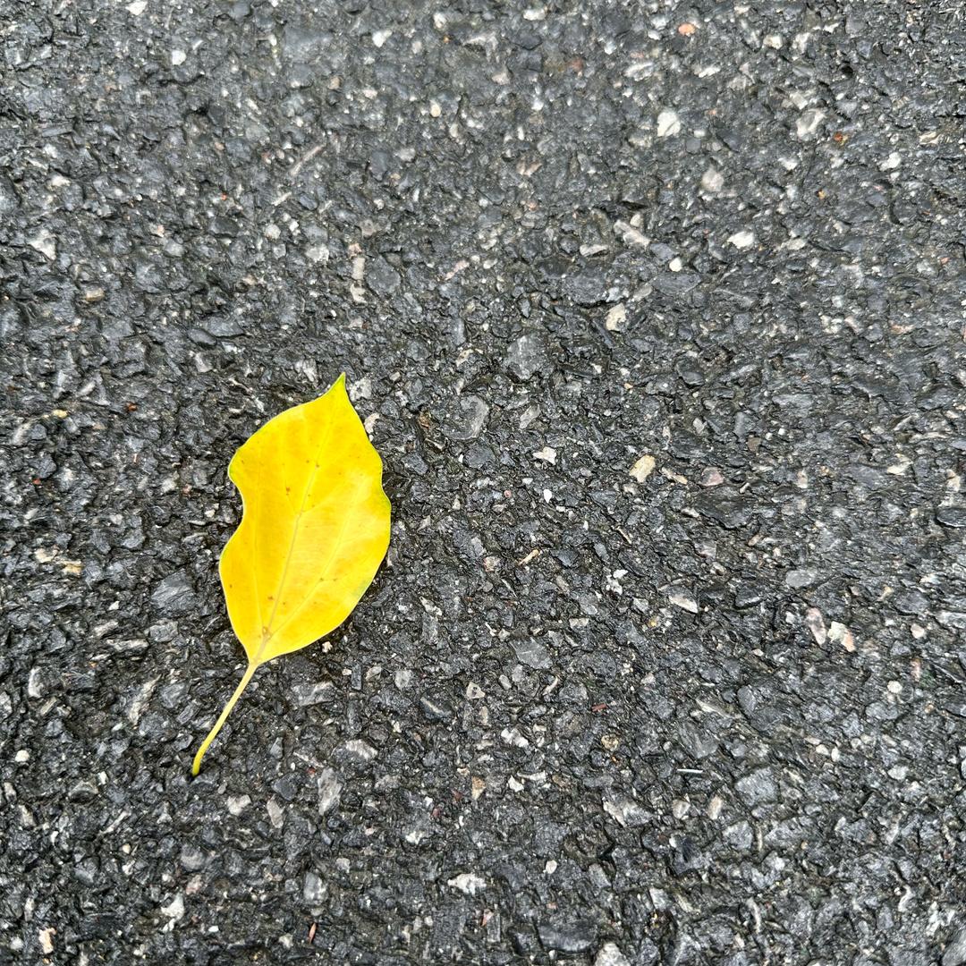 “慧焕新”车主权益