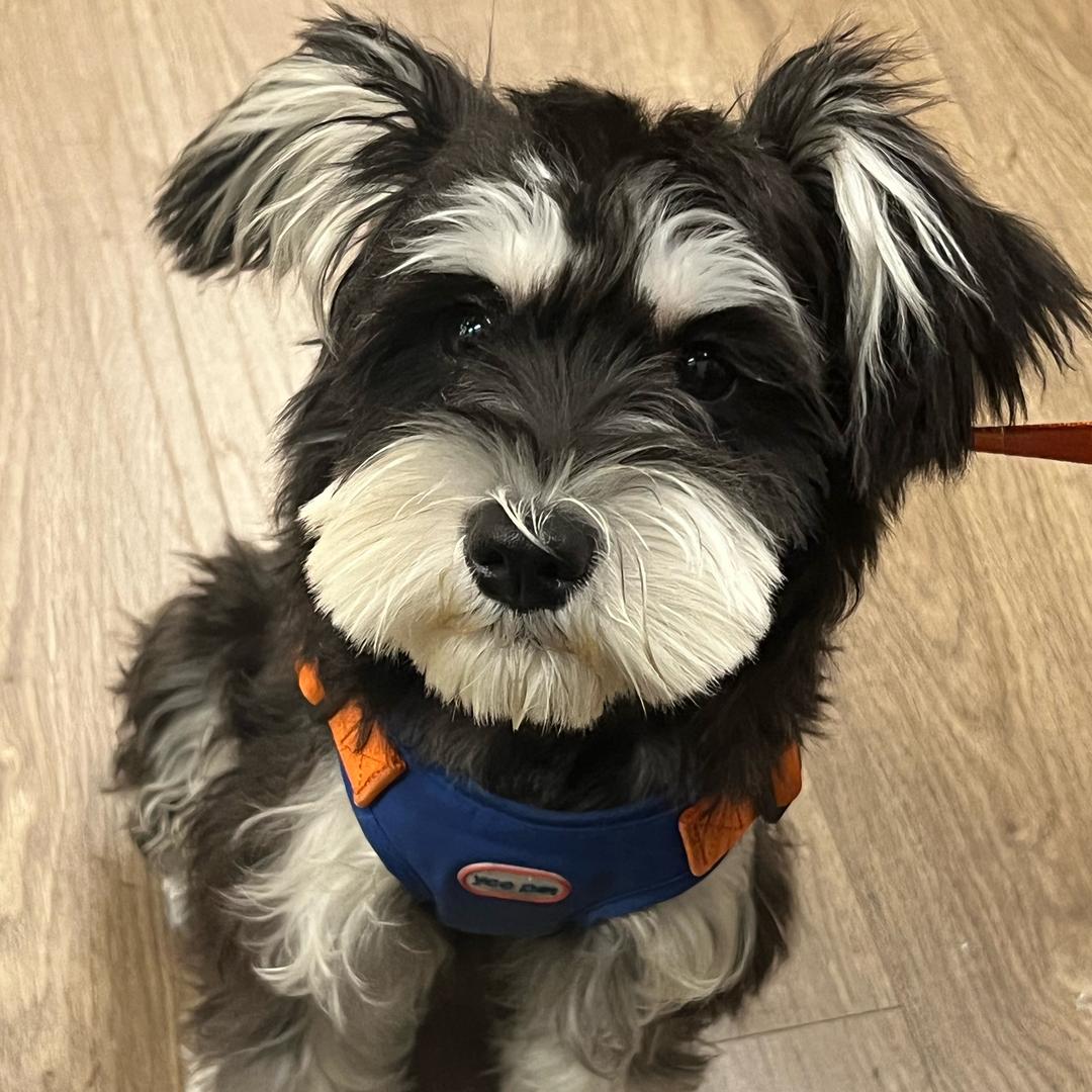 看到我的戒指了吗