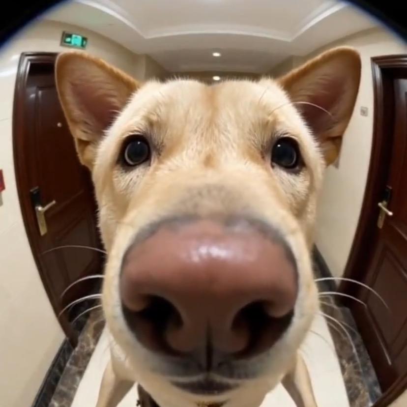 Jiwon家的小奶油