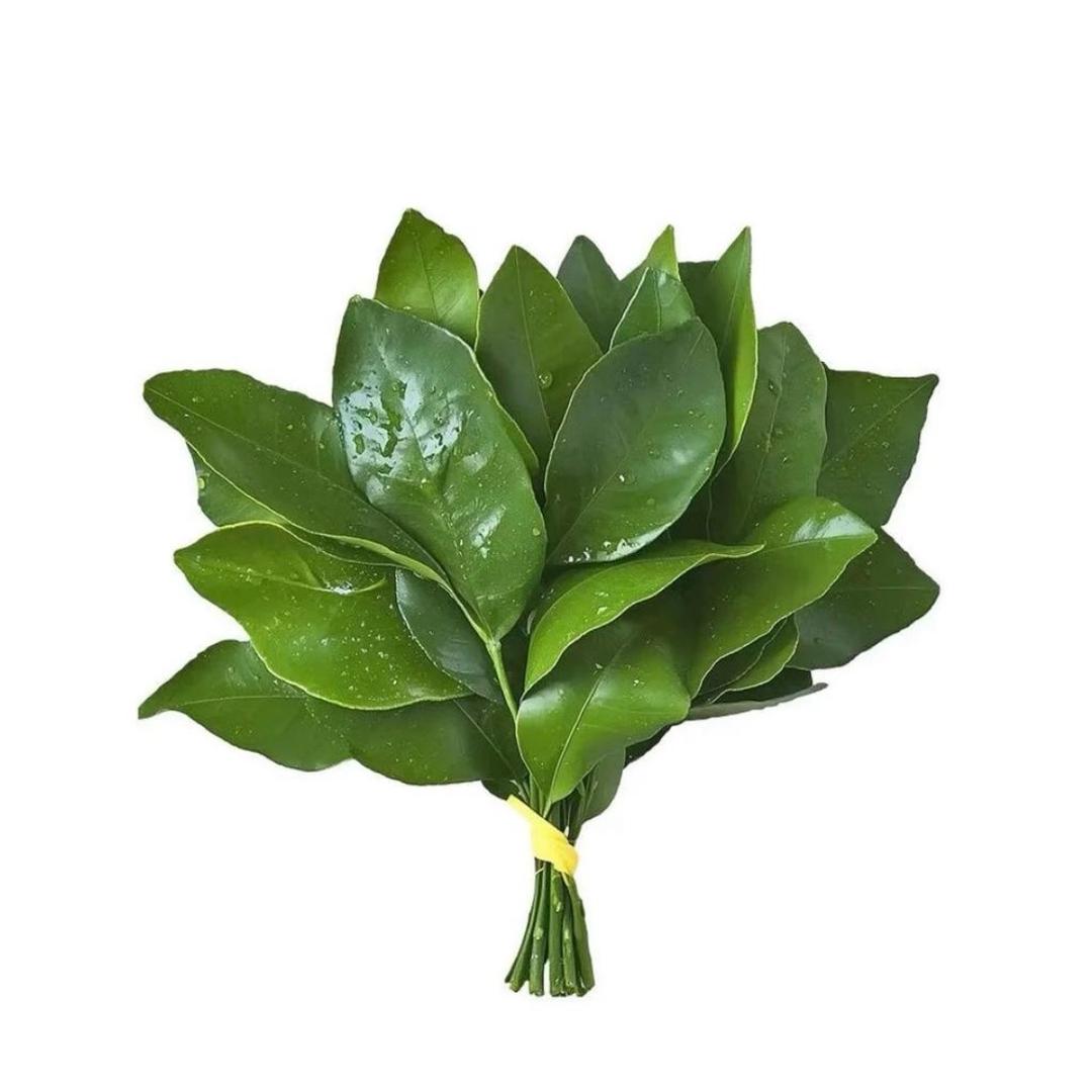 Hi你好
