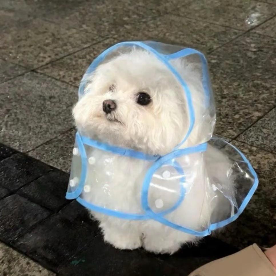 戒断反应头像