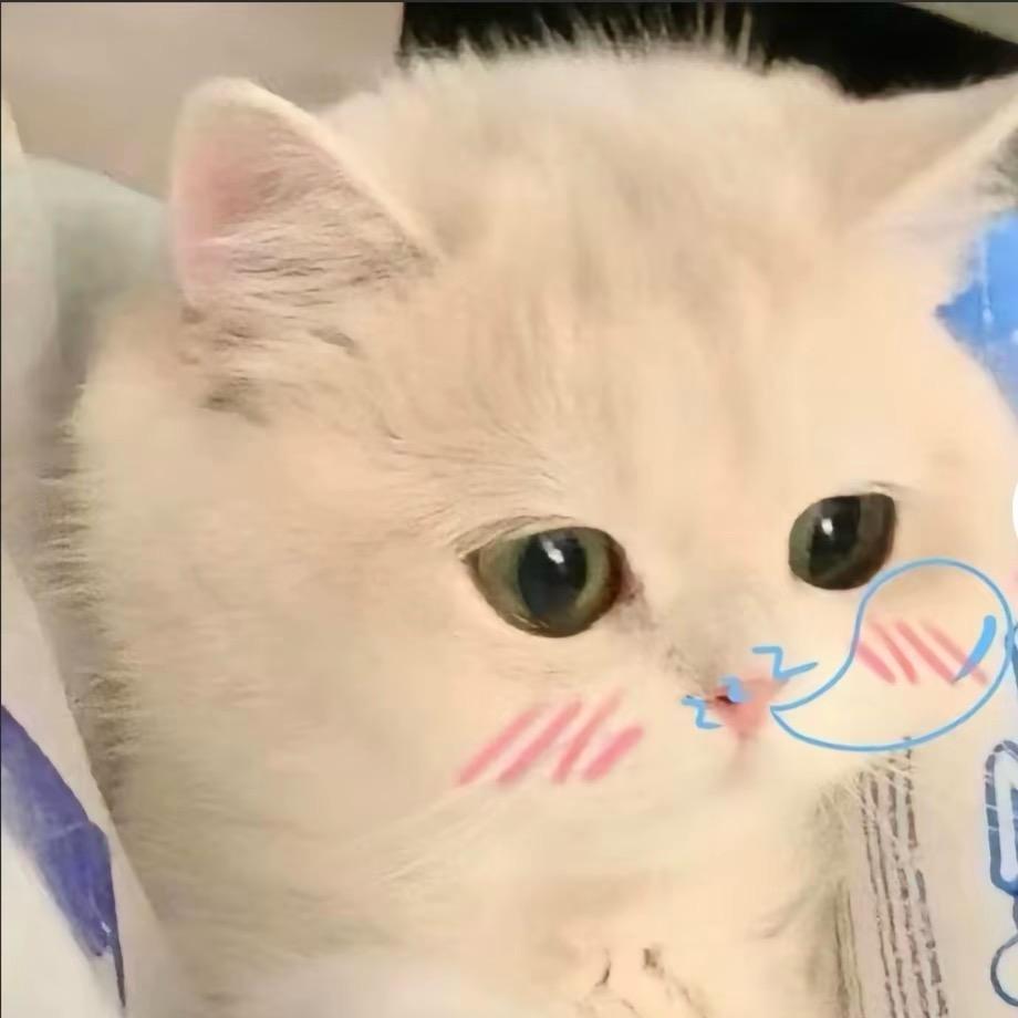 莜米🌈✨