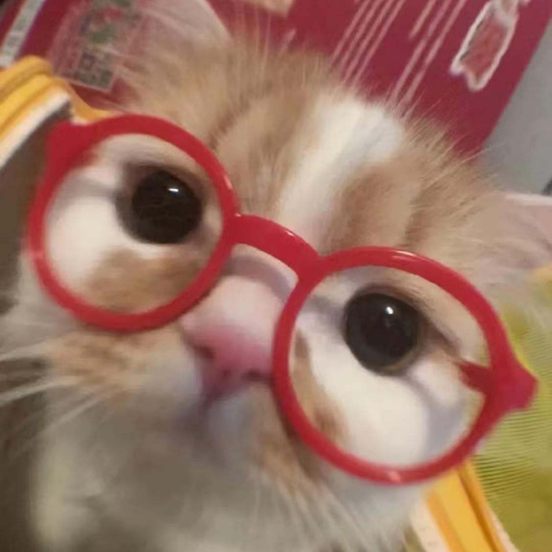 yan'yan