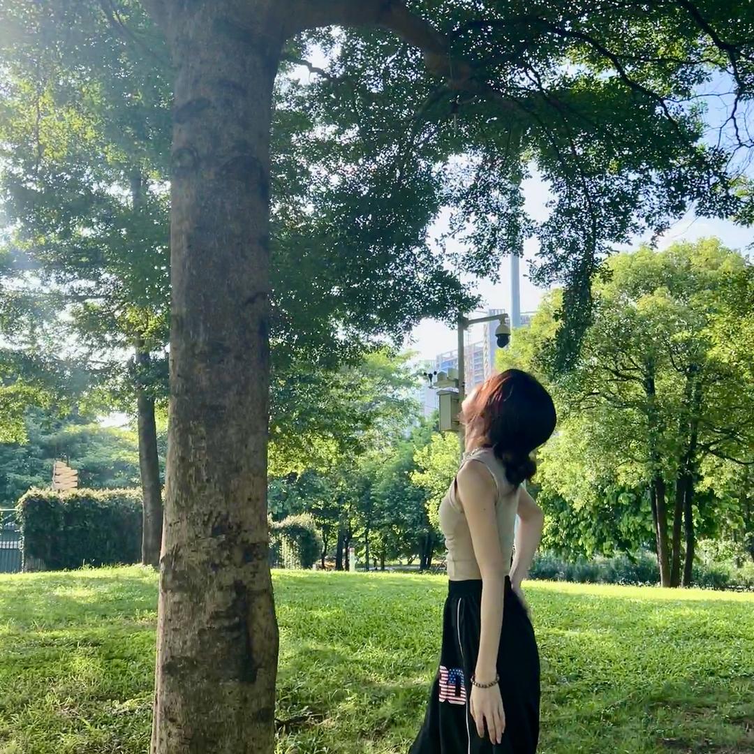 芬蔓