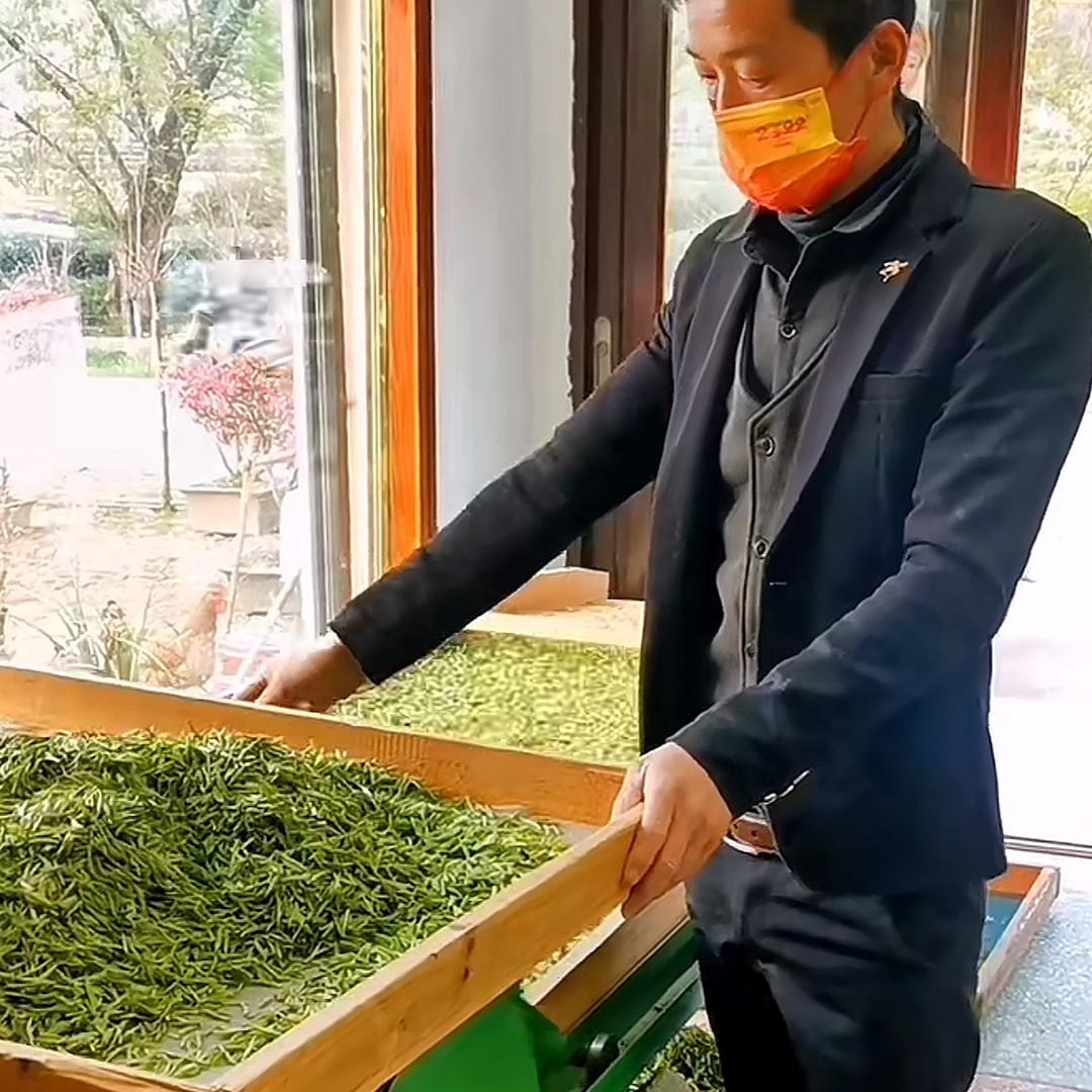 茶小天信阳毛尖