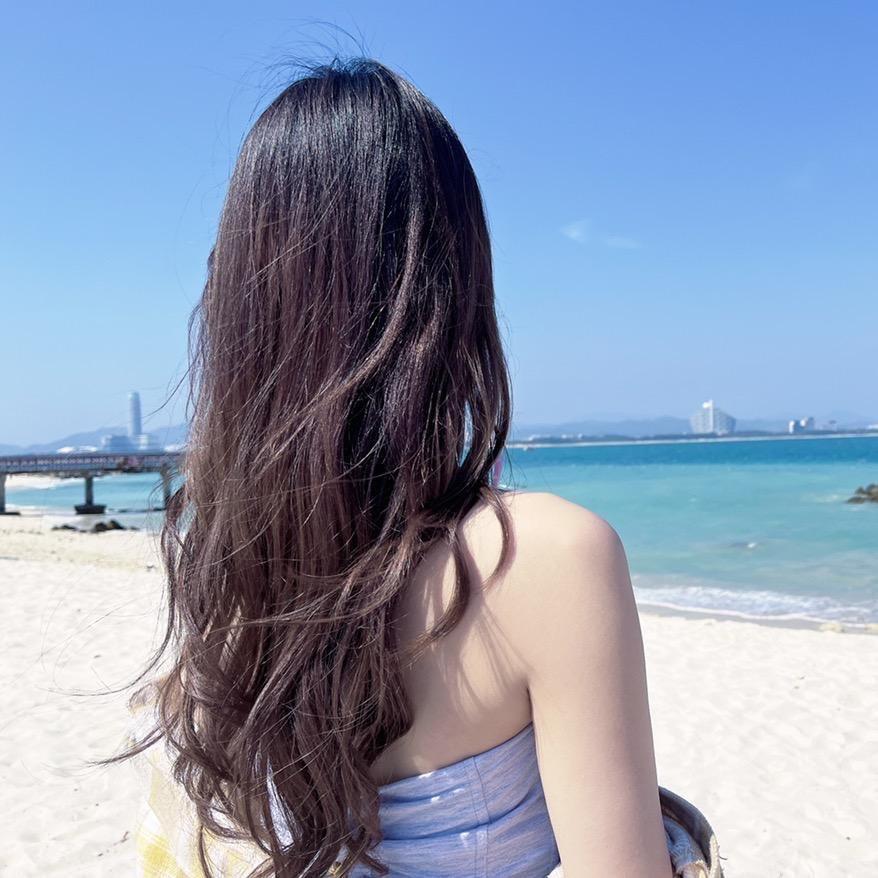 小灵芝