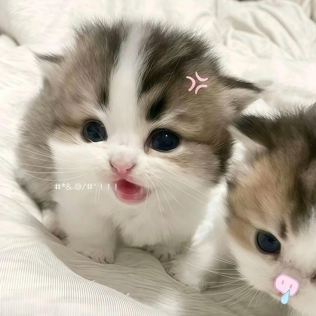慢熱潮_