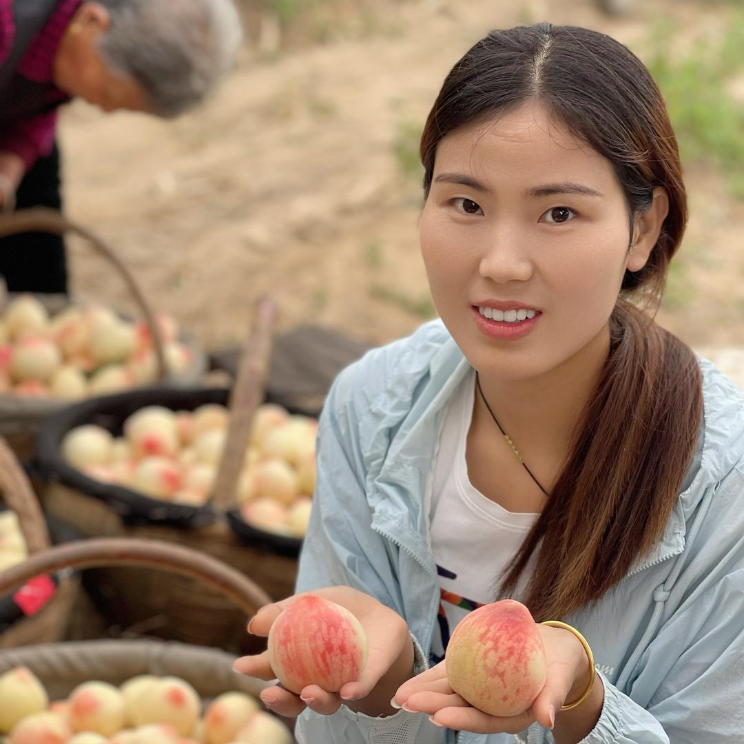 小燕子和胖胖强