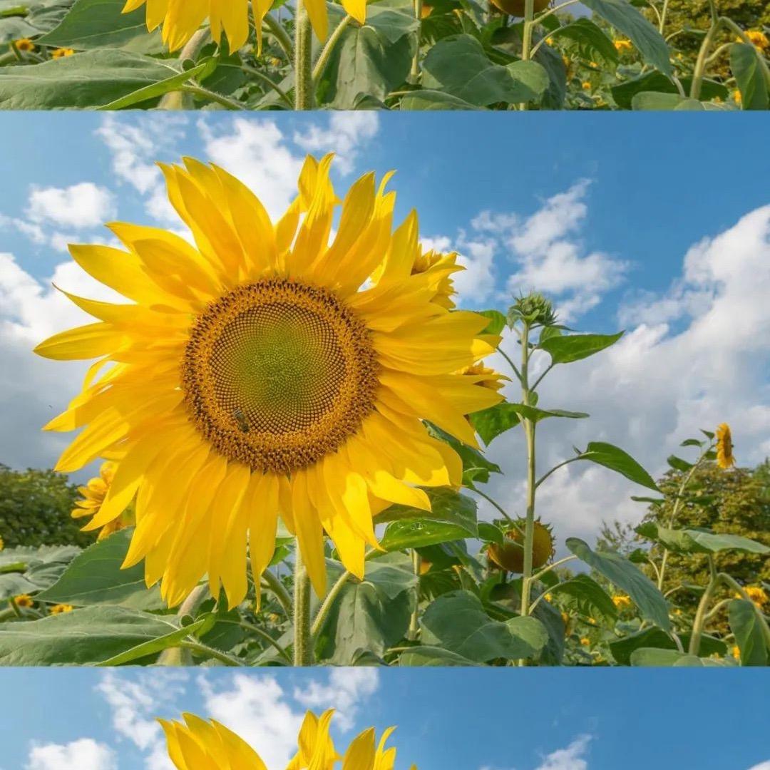 香港🇭🇰小何