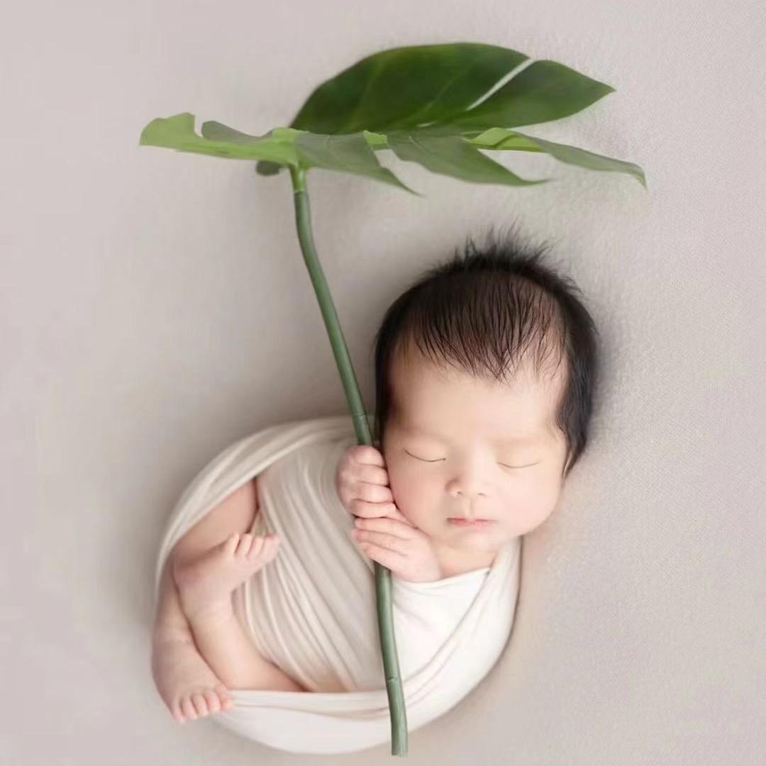 尼可映像亲子摄影曲周店