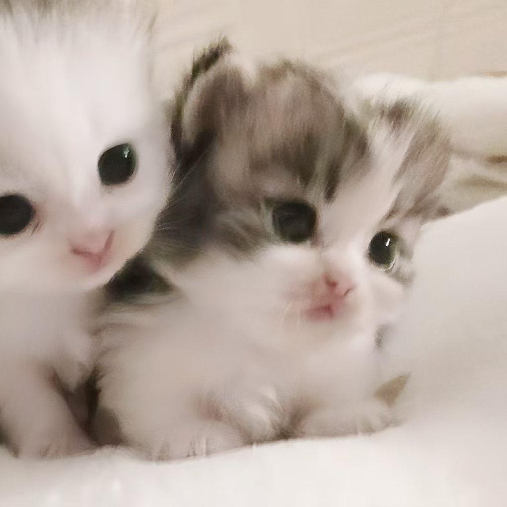 ㅤㅤㅤ 想睡觉