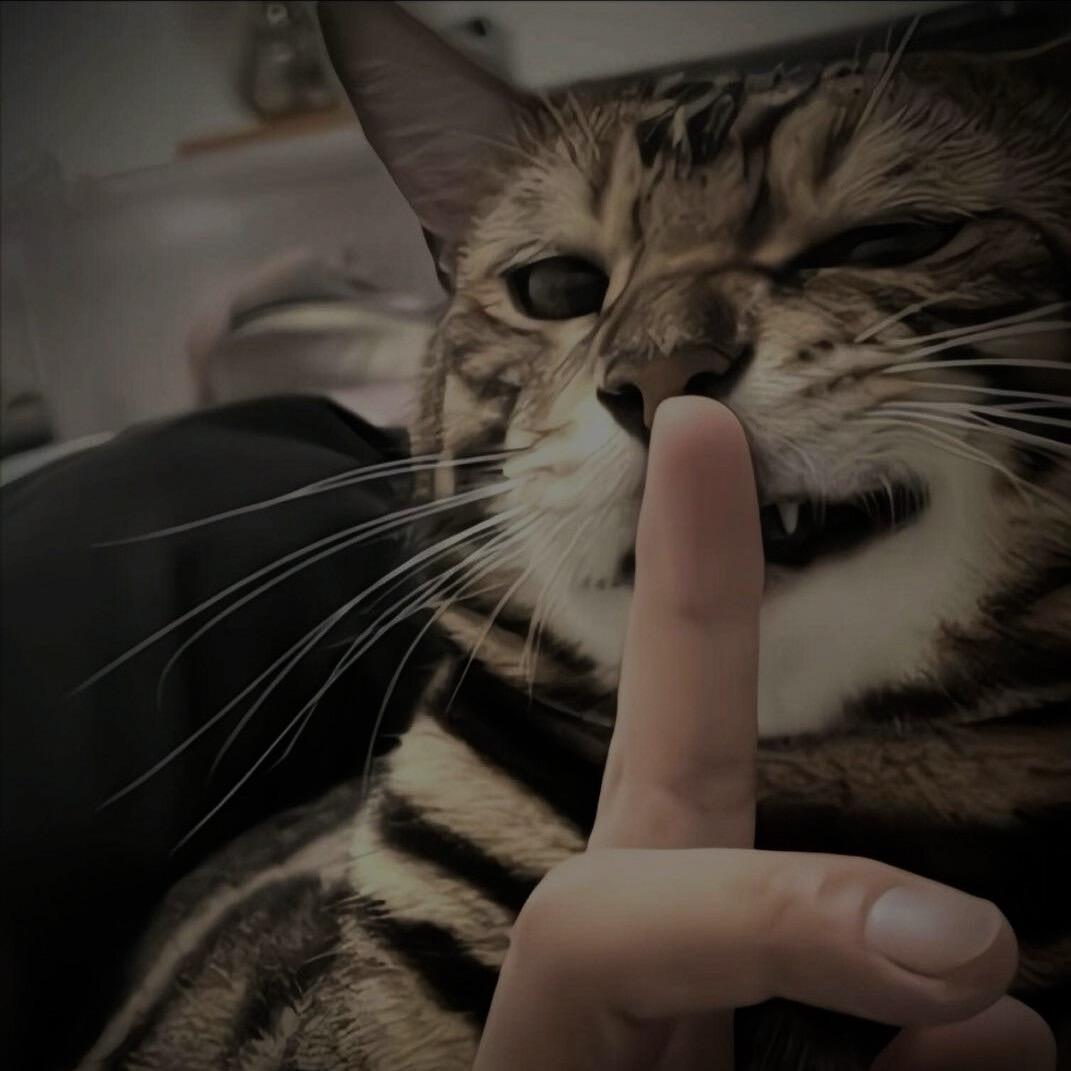 小鱼