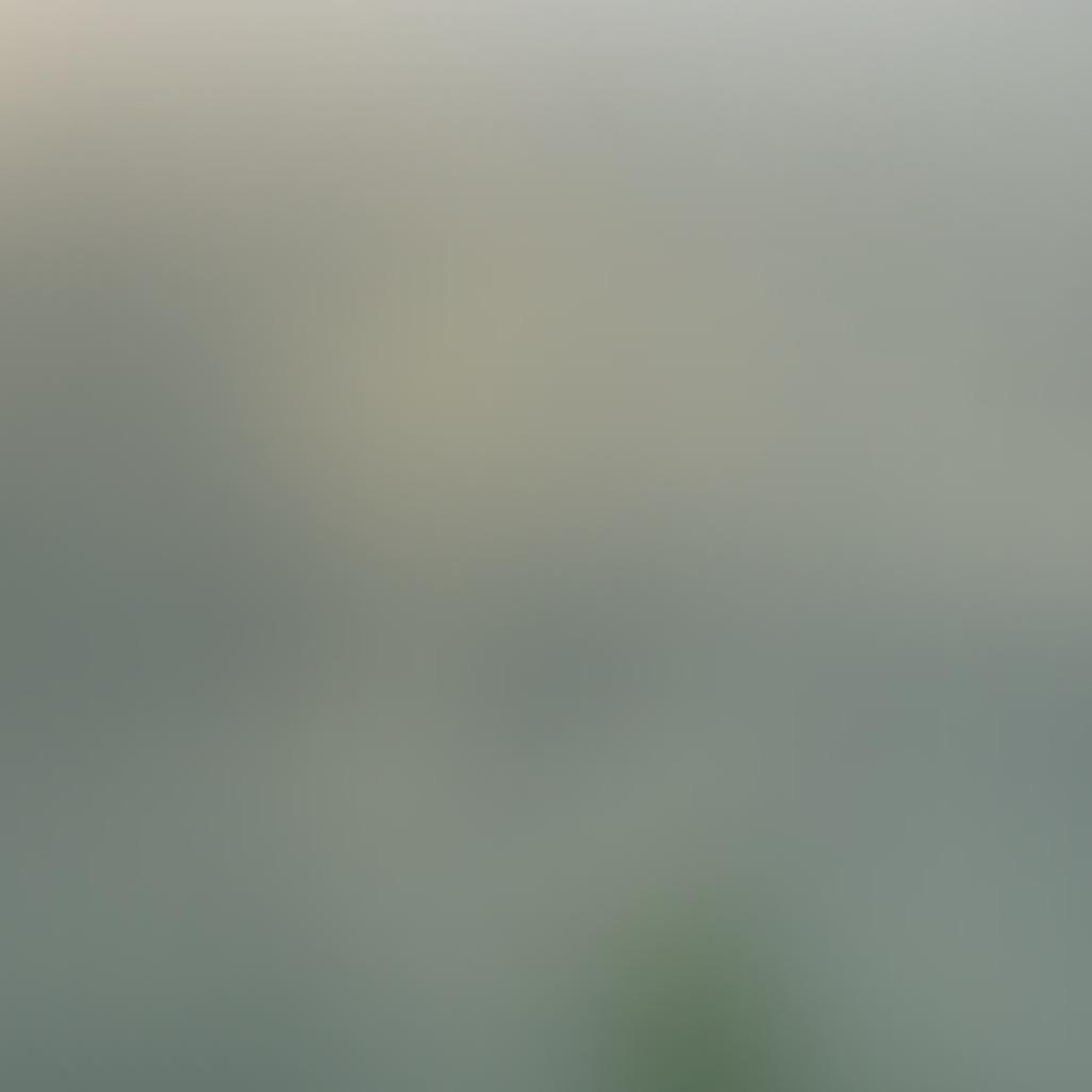 用户1888204610912