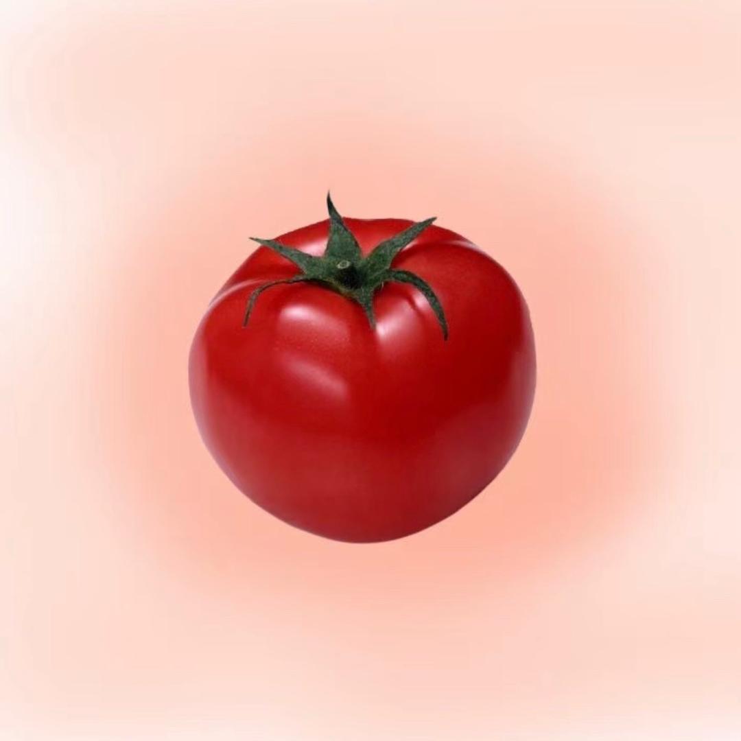 西红柿没错@