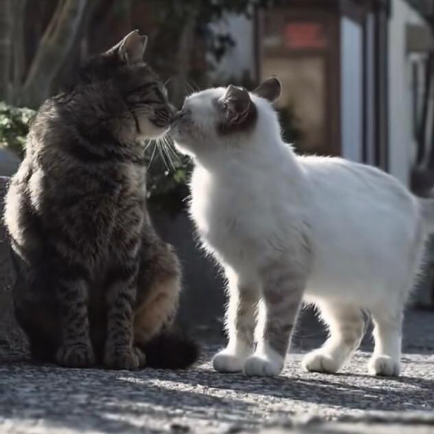 你要怎么留住我