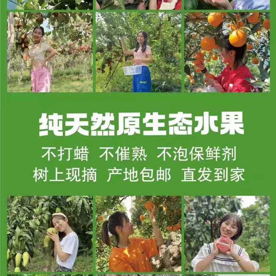 大表弟家自家鲜果