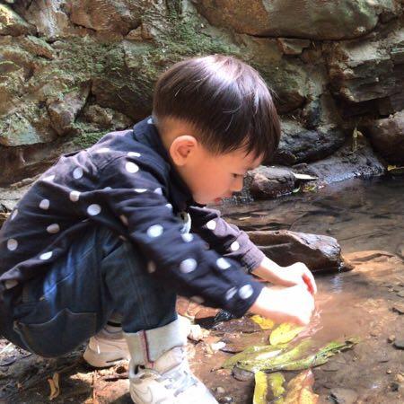 凯迪拉克bao bao