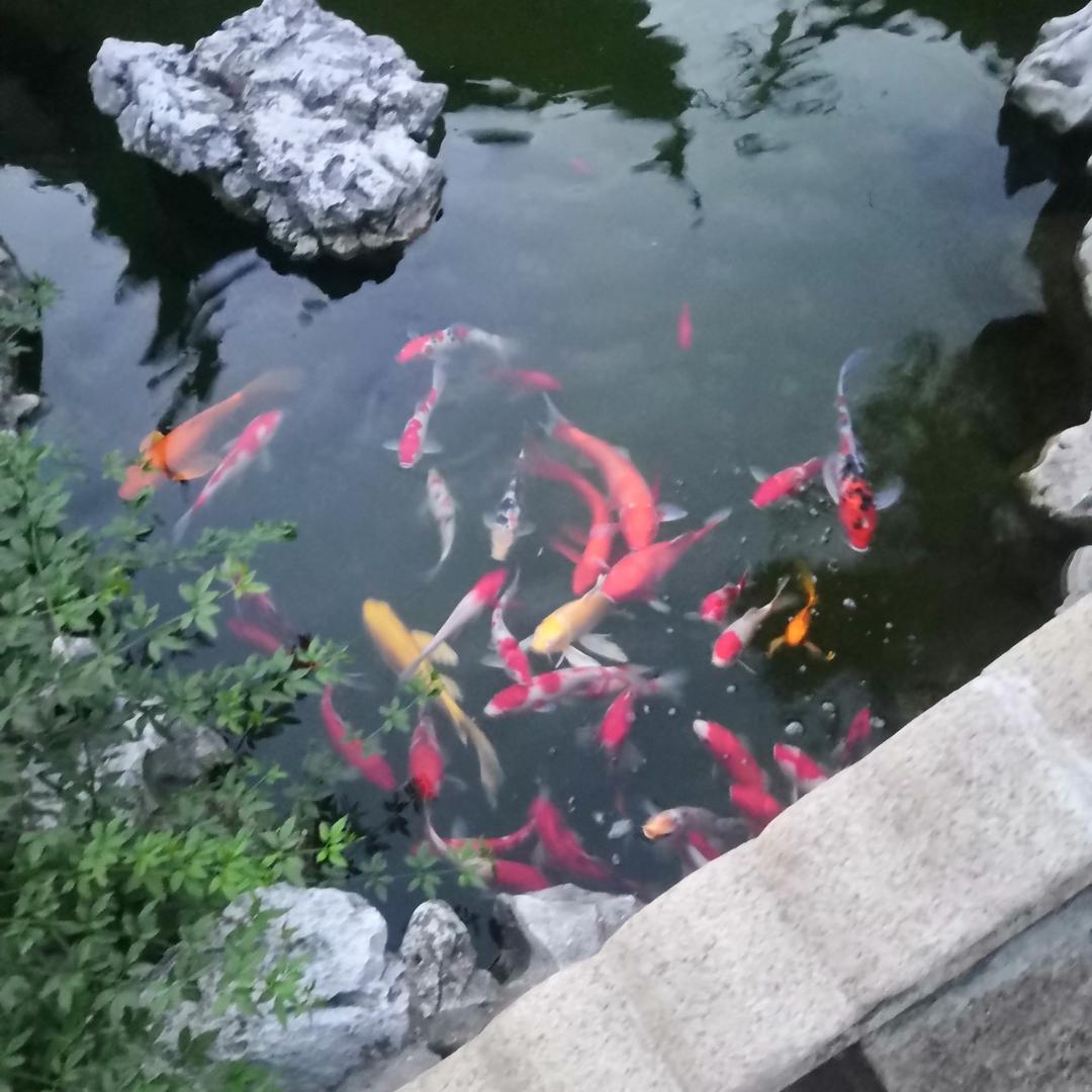 胡越一家
