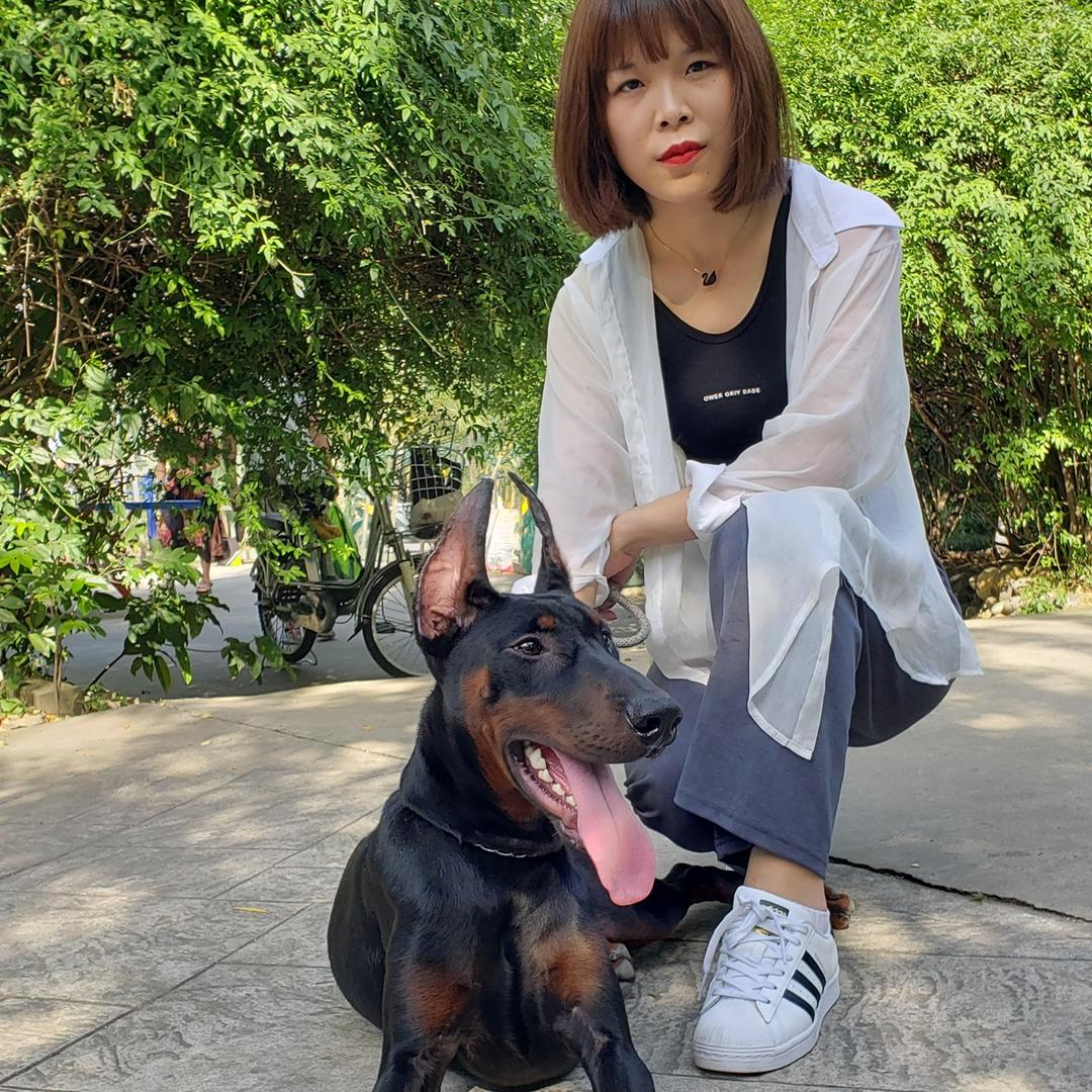 婷婷名犬生活馆