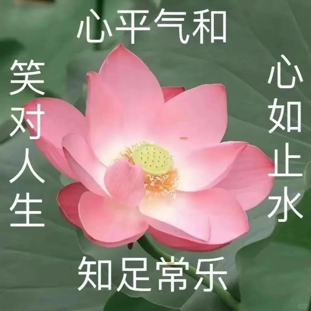 小旸同学