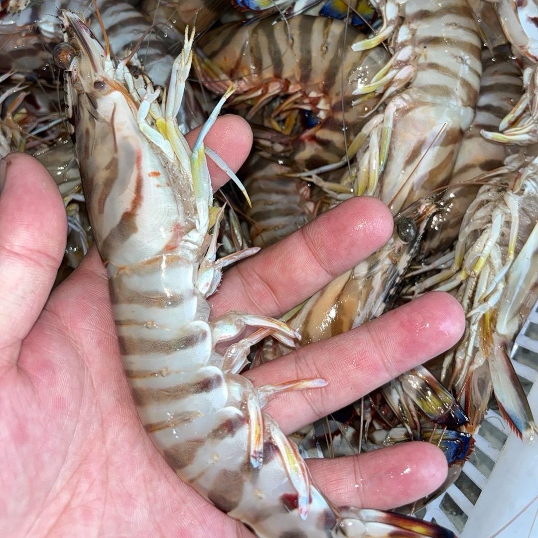 24鲜海鲜
