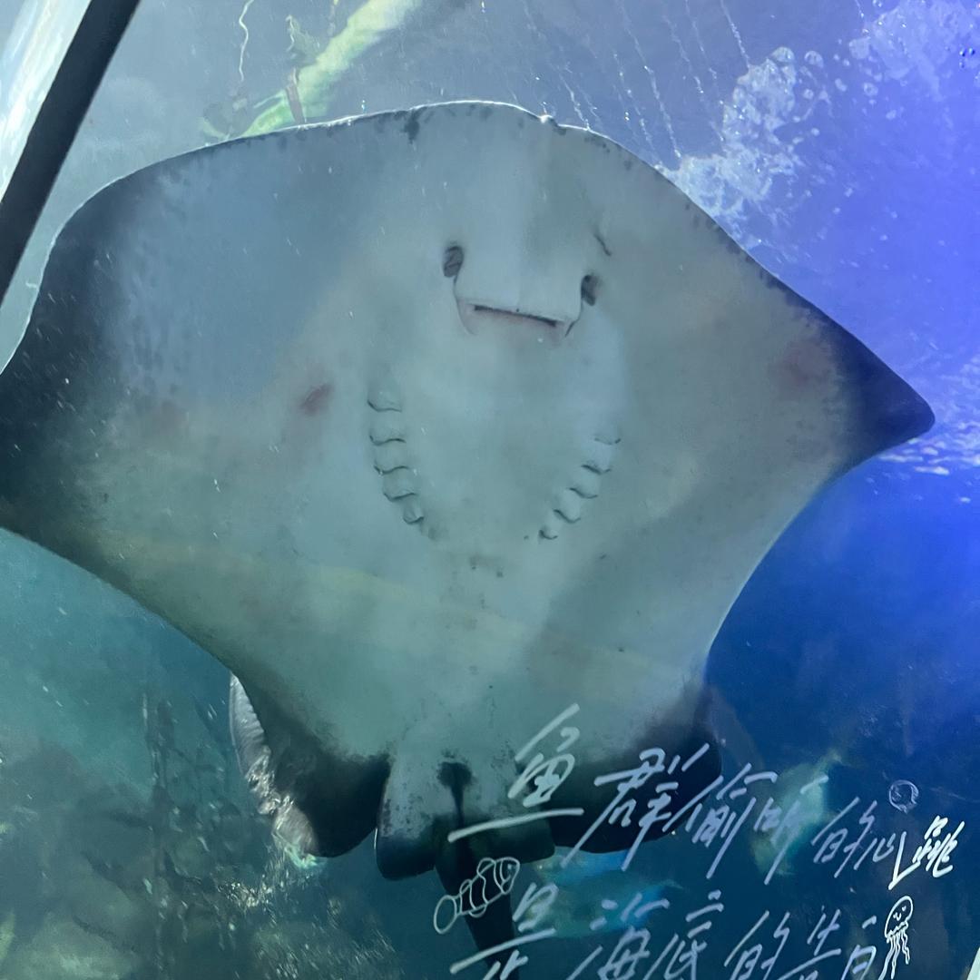 女司机宝妈 兼职跑（四轮小件）