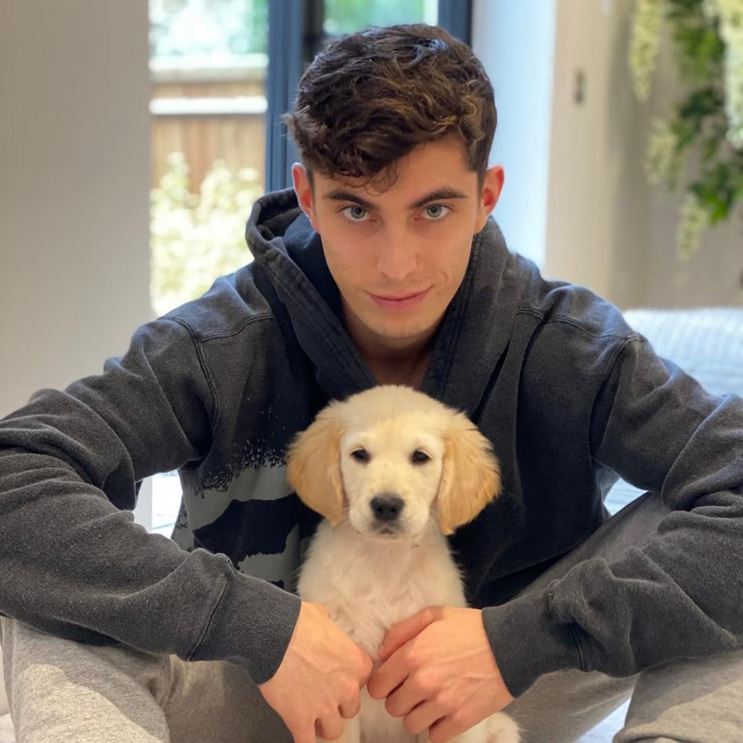 抢海鸥的薯条🍟