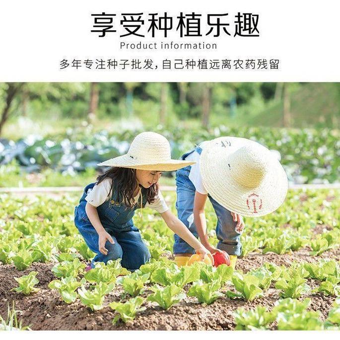 阿豪辣椒园