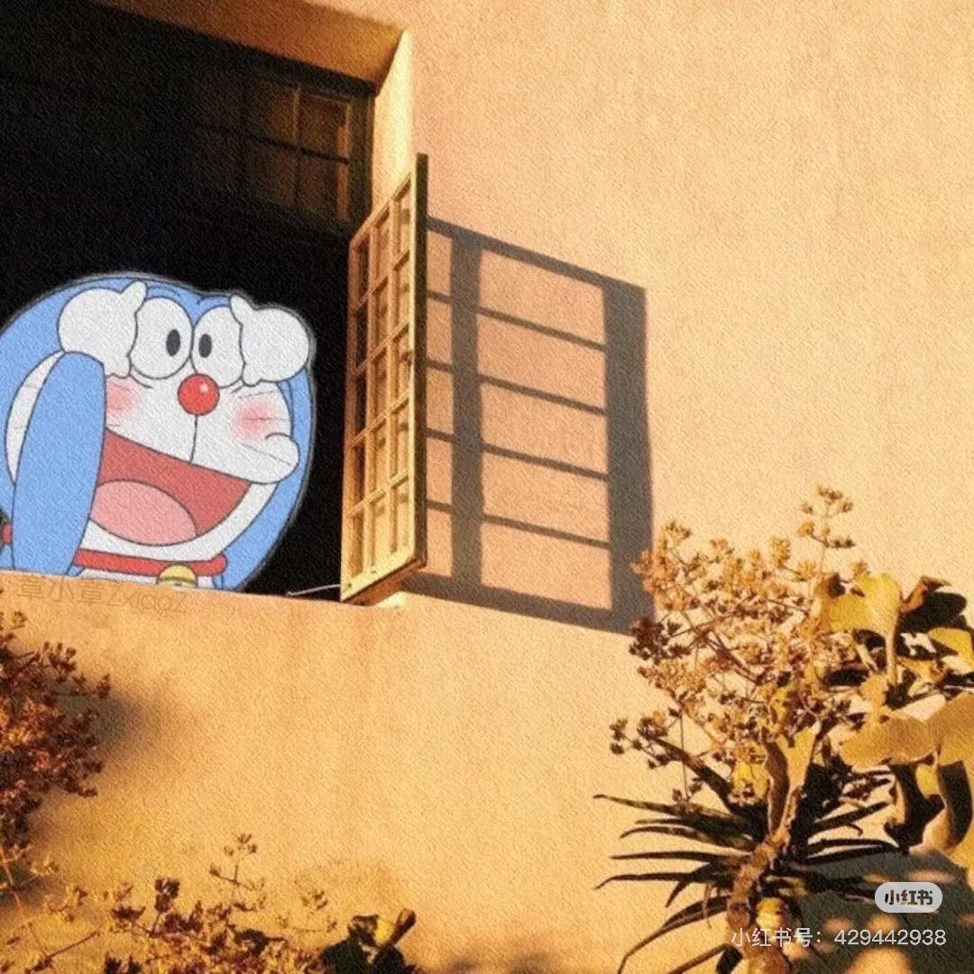小龙🎶