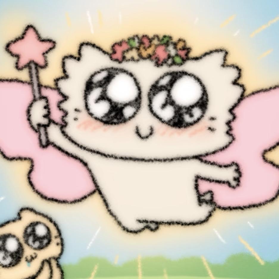 在北极遇见企鹅