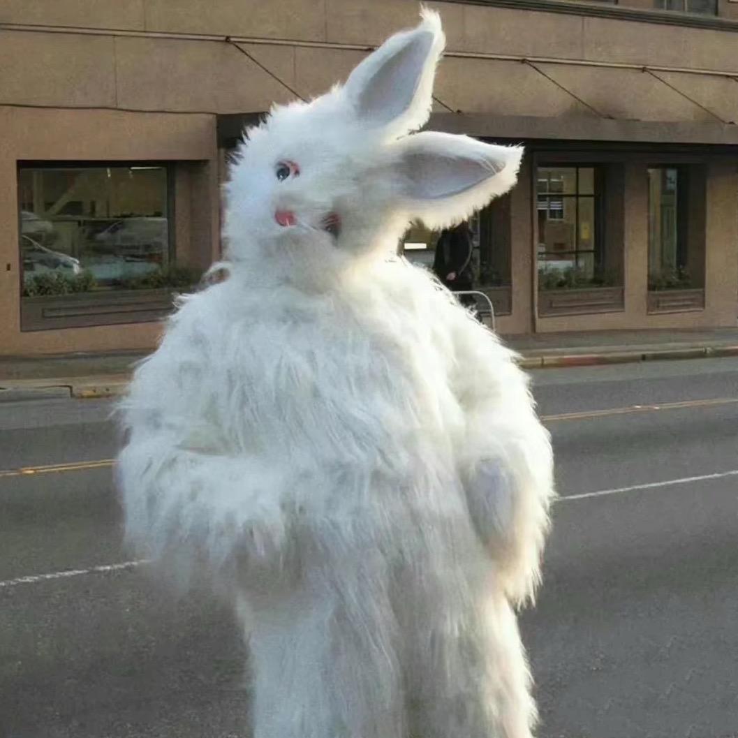 Tuni兔妮（海口陪拍）